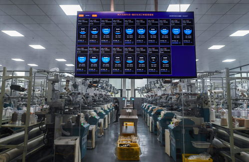 浙江諸暨 積極推進 國際襪都 襪業(yè)產(chǎn)業(yè)高質(zhì)量發(fā)展