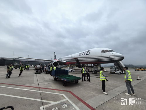 貴陽往返印度的兩條國際貨運航線今年運送貨物近1000噸